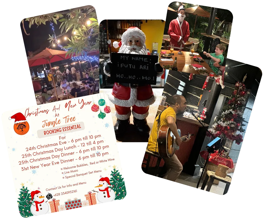Christmas and New Year
